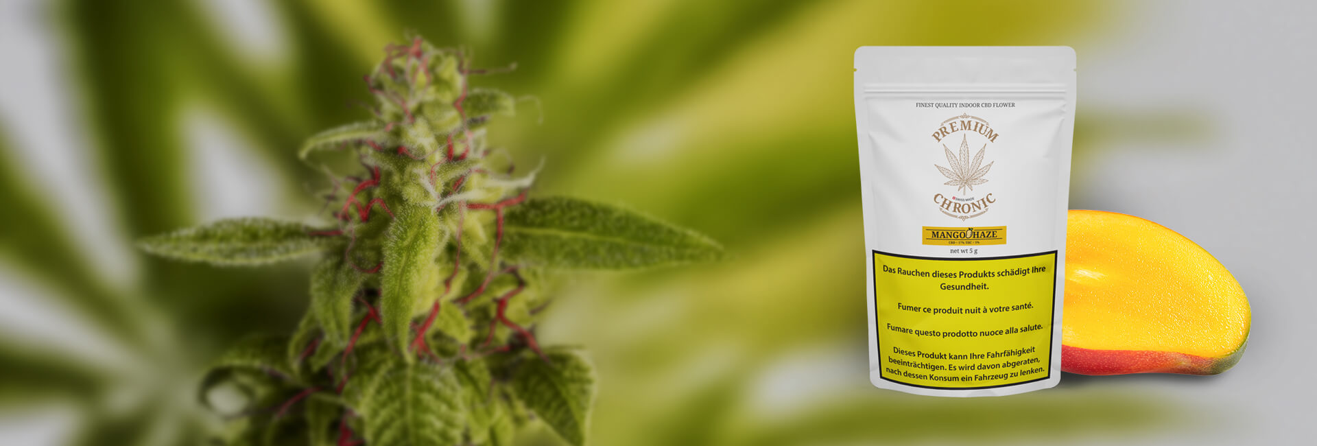 1920×650-slider-mango slider 1920x650-slider-mango