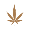 image 100x100-icons-hybrid