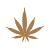 sativa image