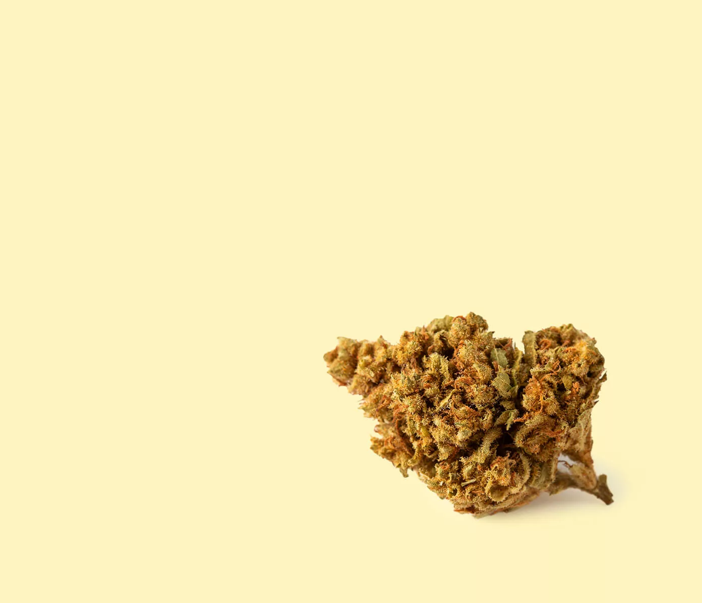 indica-1392x1195-v2